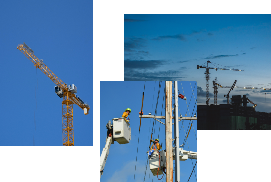 cranes-image-grid